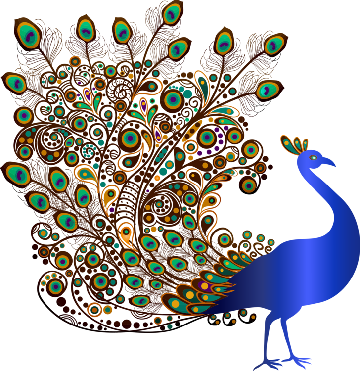 Bird Indian Peafowl - Indian Peafowl Drawing (728x750), Png Download