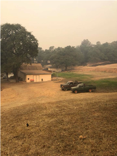 2018 Carr Fire - Tree (660x500), Png Download