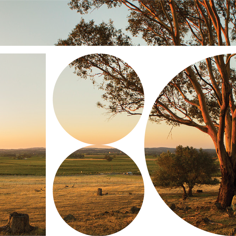 Secure Your Vine Today - Grass (800x800), Png Download