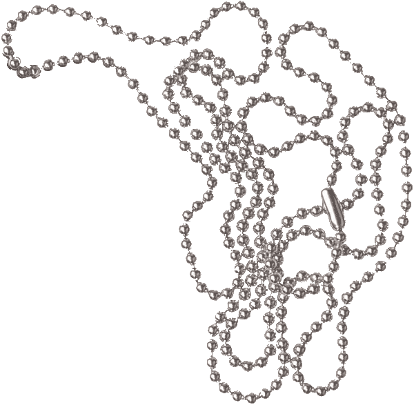 30" Silver Ball Chain - Shawn Mendes Accessories (600x587), Png Download