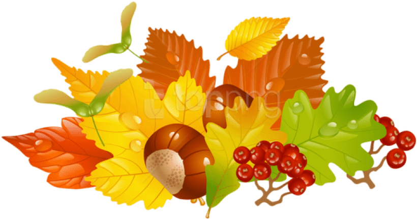 Free Png Download Transparent Fall Leaves And Chestnuts - Fall Leaves Wreath Clipart (850x471), Png Download