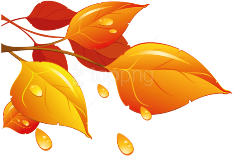 Free Png Download Transparent Autumn Leaves Clipart - Осенние Листья Клипарт (850x590), Png Download