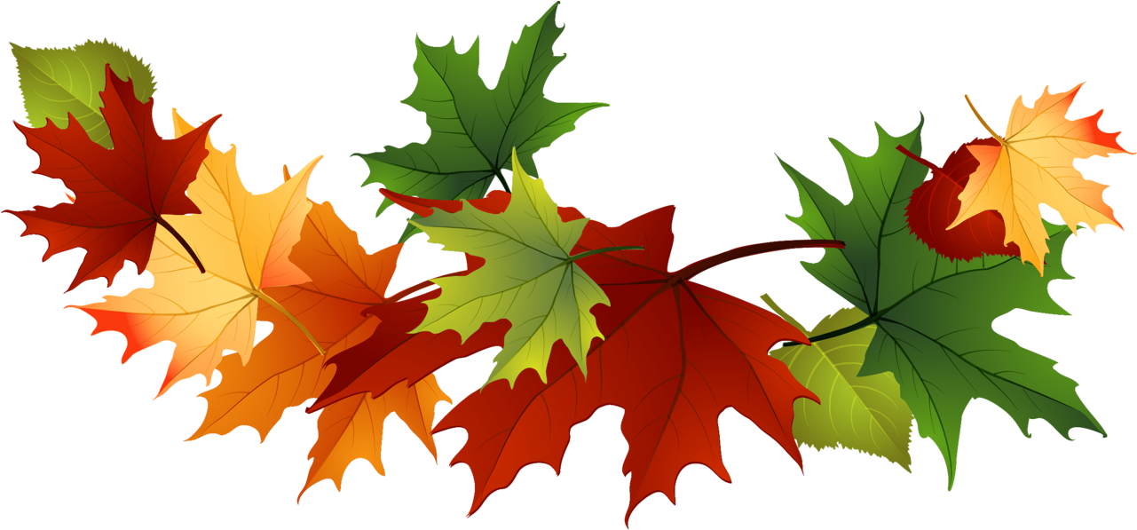 Fall Leaves Clip Art Free Fall Transparent Leaves - Clip Art (1281x597), Png Download