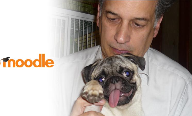 We Say Hola To Mexican Moodle Translator And Documenter - Moodle (800x450), Png Download