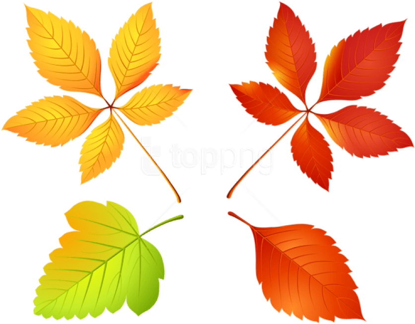Free Png Download Autumn Leaves Set Clipart Png Photo - Autumn Chestnut Leaf Clipart (850x661), Png Download