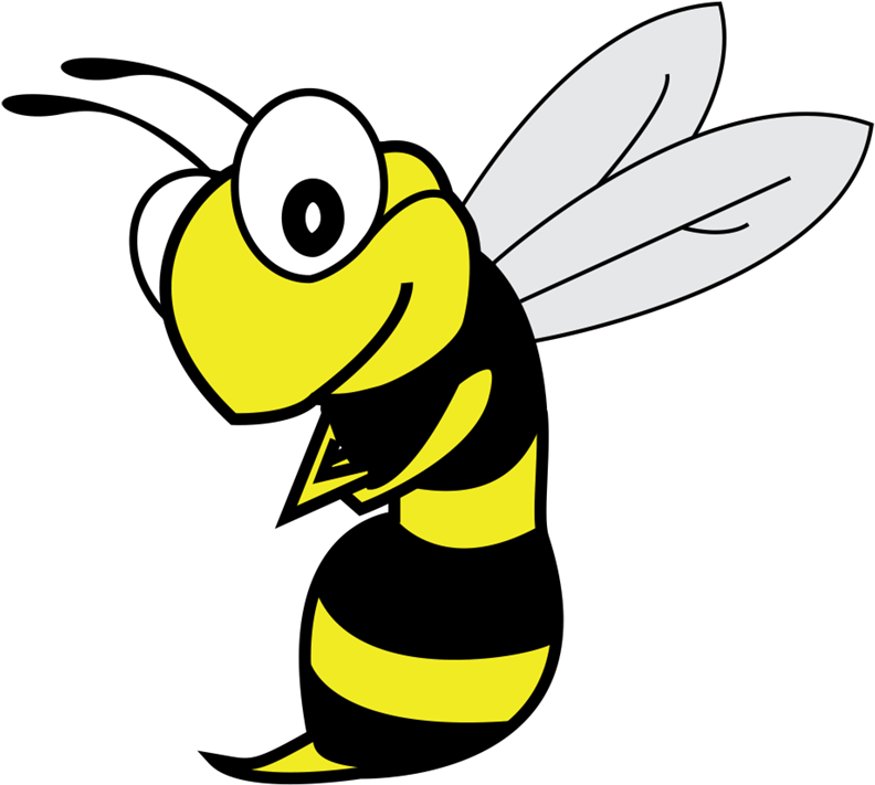 Honeybee (800x800), Png Download