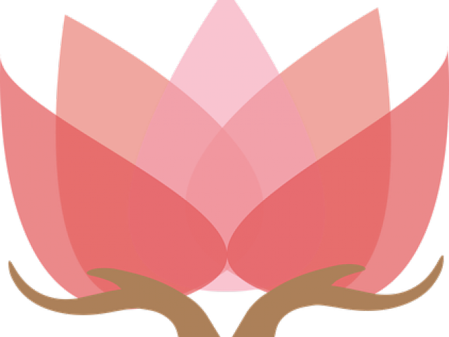 Flor De Loto Png (640x480), Png Download