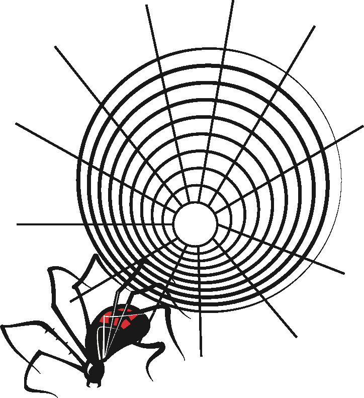 Input Spider And Web 2 (724x791), Png Download