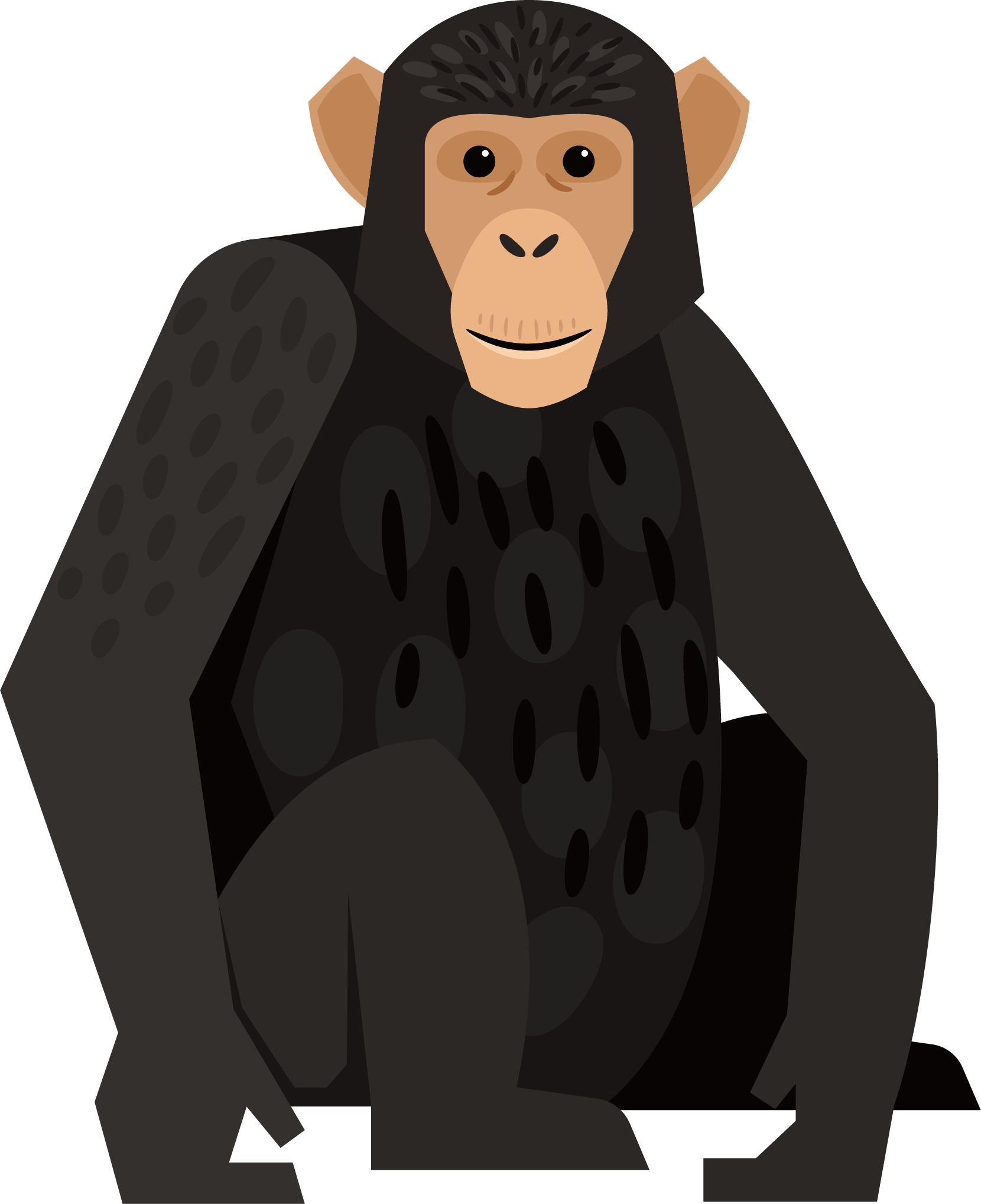Graphic Royalty Free Chimpanzee Monkey Orangutan Black - Common Chimpanzee (1660x2037), Png Download