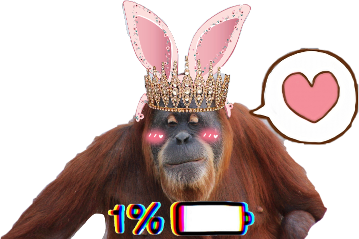 Orangutan (719x480), Png Download