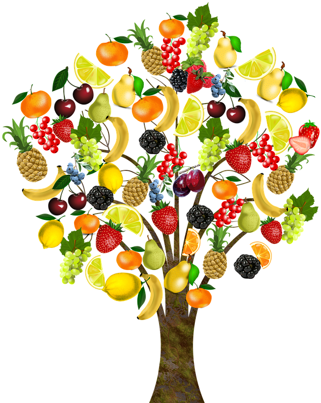 To Welcome All My New Followers And To Connect With - Arbol Con Frutas Y Verduras (1280x853), Png Download