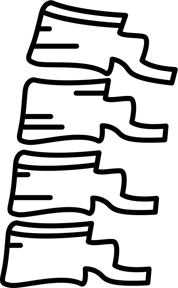Png File - Vertebral Column (609x981), Png Download