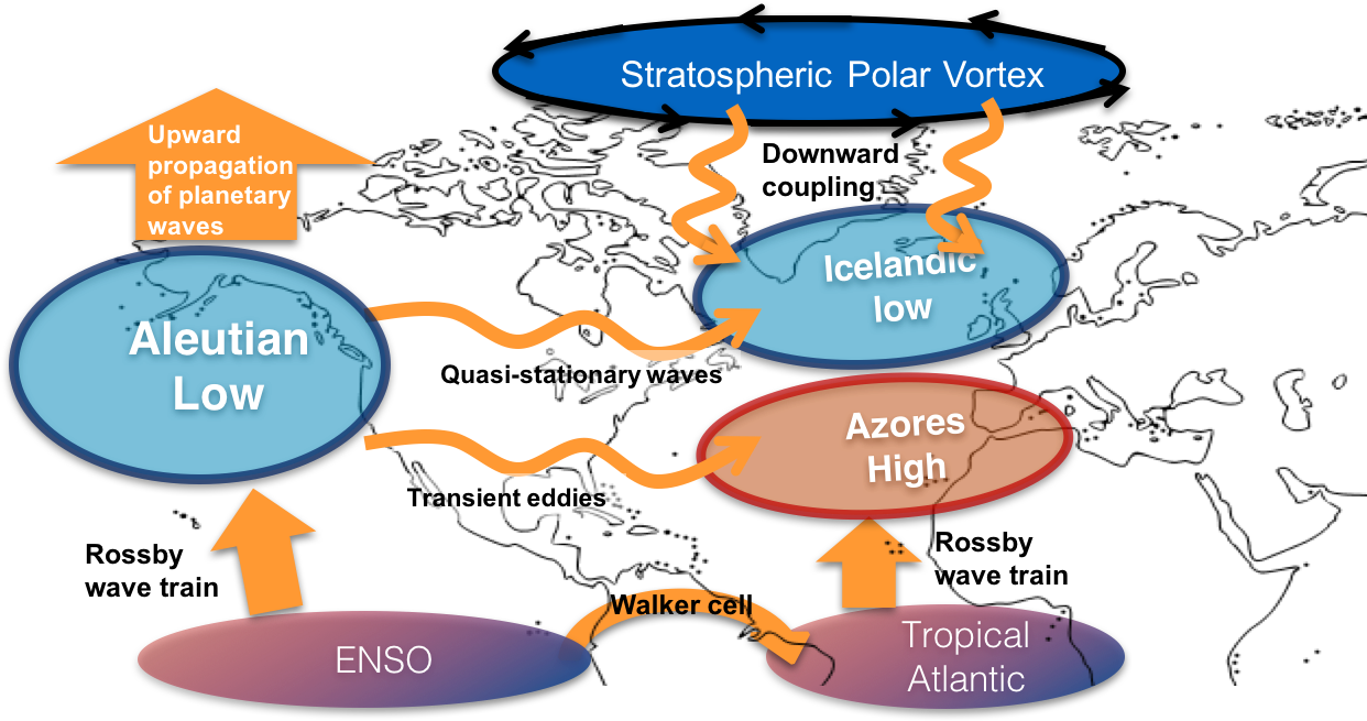 Schematic Diagram Containing The Main Areas And Processes - Diagram (1288x680), Png Download