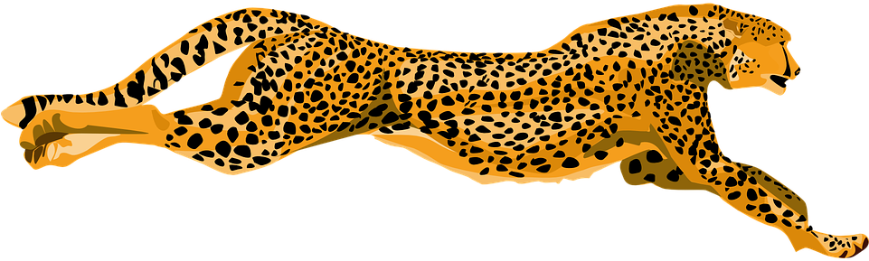 Cheetah Clipart Png (960x480), Png Download