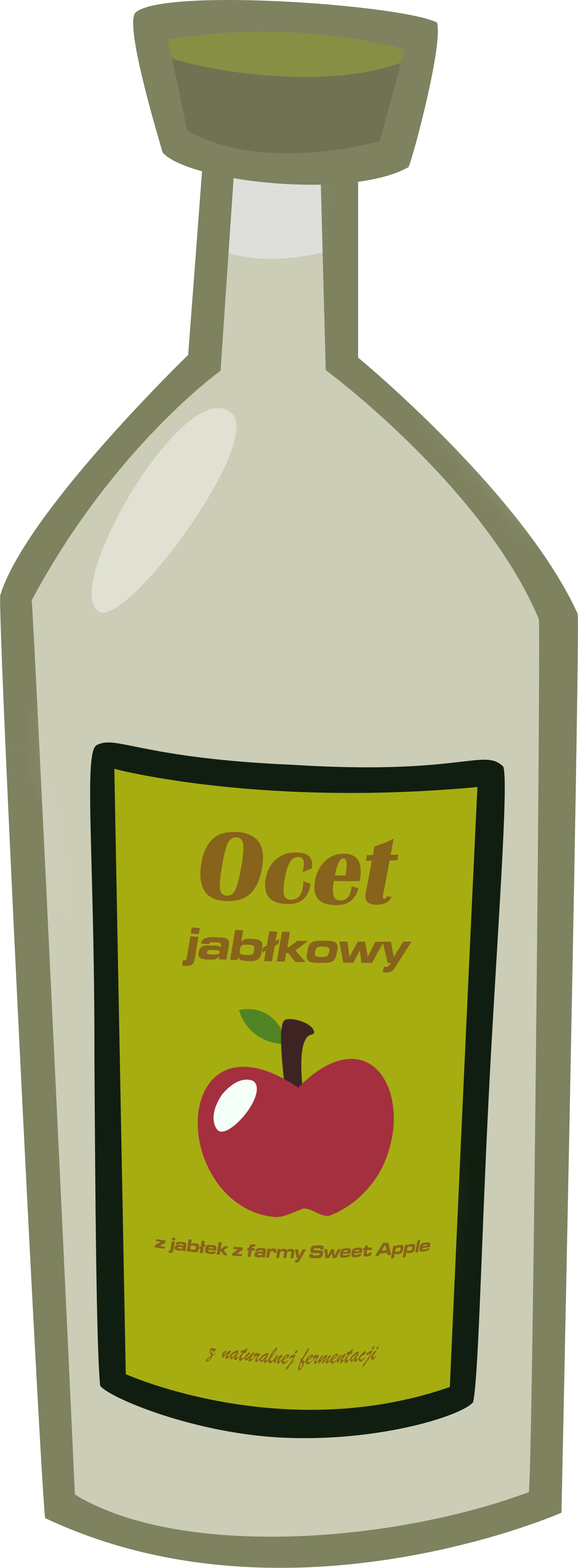 1714 X 4652 2 - Apple Cider Vinegar Vector (1714x4652), Png Download