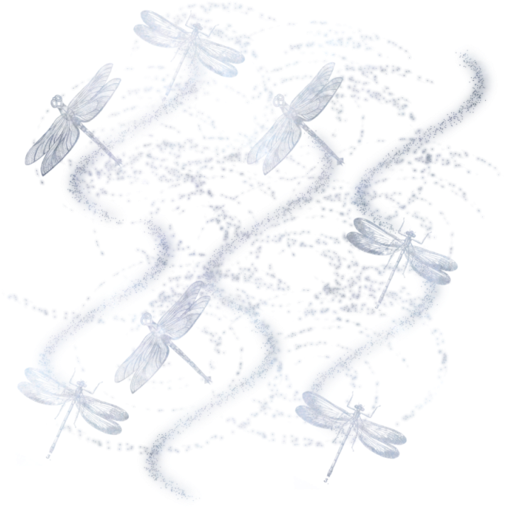 Dragonfly Masked Texture 800 X 800 - Sketch (800x800), Png Download