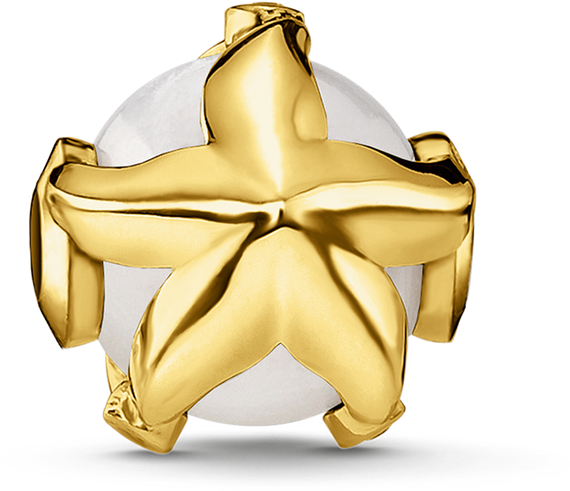 Bead Estrella De Mar - Thomas Sabo (1500x1500), Png Download