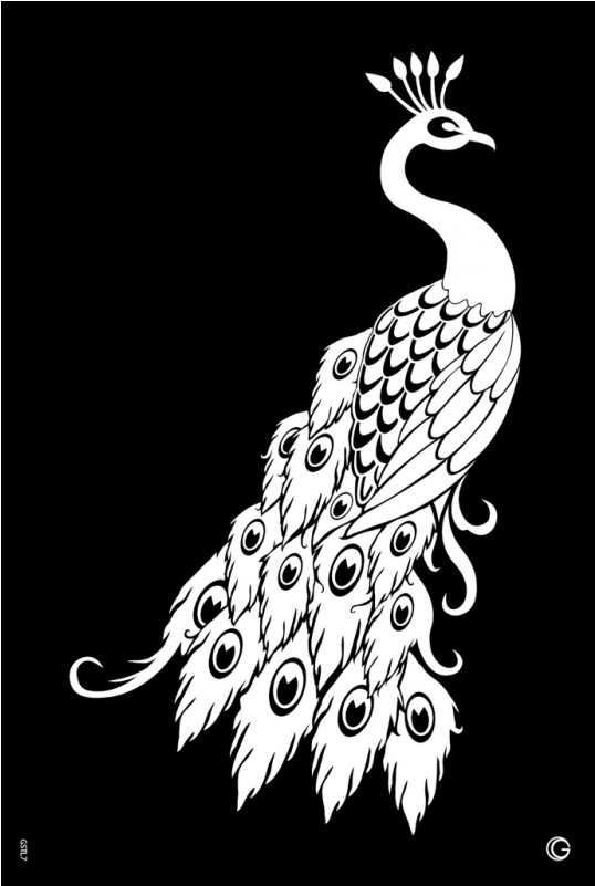 Gstl7 Proud Peacock 0f24ca75 4ac6 4d42 9c73 A428090a76da - Paper Cutting Templates Peacock (800x800), Png Download