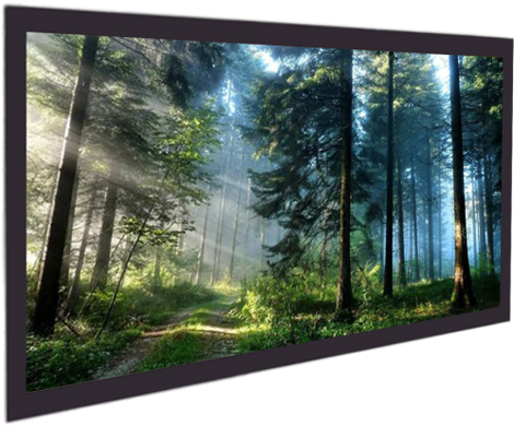 Jk - Majestic Forest (700x500), Png Download