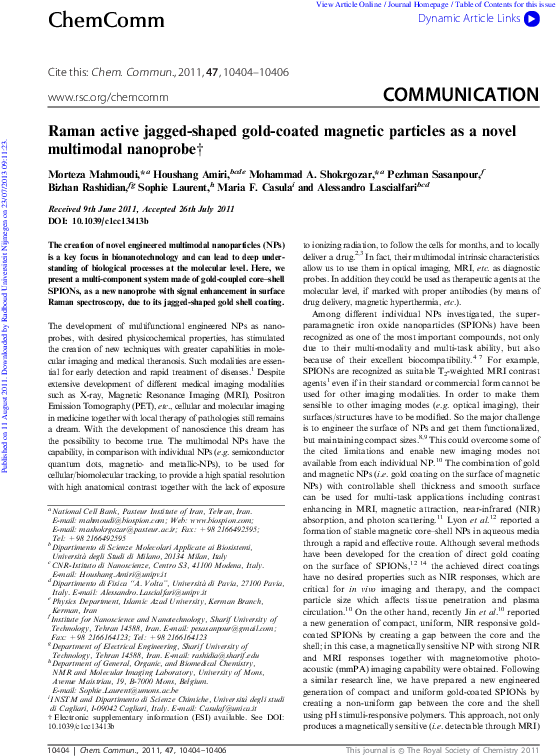 Raman Active Jagged Shaped Gold Coated Magnetic Particles - Folio Nine From Burchard Of Sion's De Locis Ac Mirabilibus (595x780), Png Download