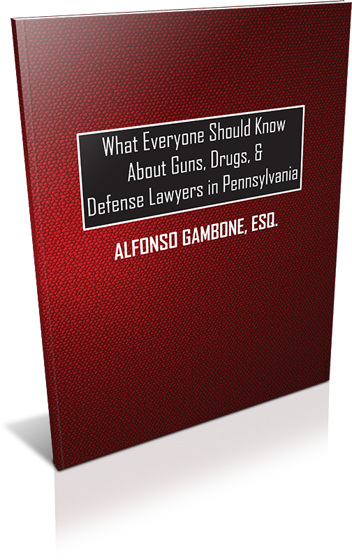 Illegal Drug & Narcotic Crime Prosecutions Drug Crimes - Book Cover (504x800), Png Download