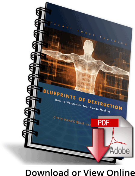 Blueprints Of Destruction - Red-eared Slider (510x630), Png Download