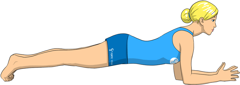 Dolphin Plank Yoga Pose Forte - Plank (900x675), Png Download