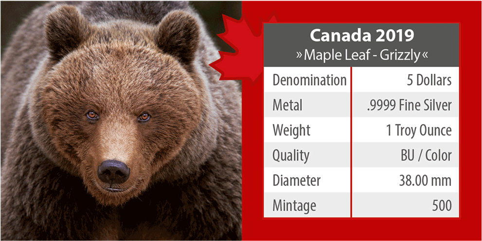 Ibca201956 5 - Maple Leaf (1024x1024), Png Download