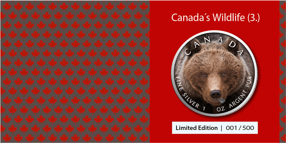 Ibca201956 4 - Punxsutawney Phil (1024x1024), Png Download