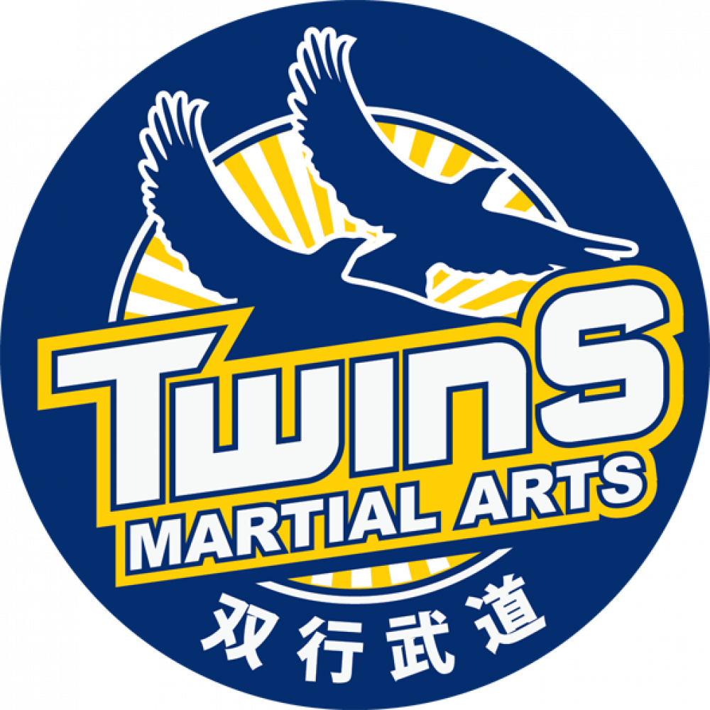 Twins Martial Arts (1000x1000), Png Download