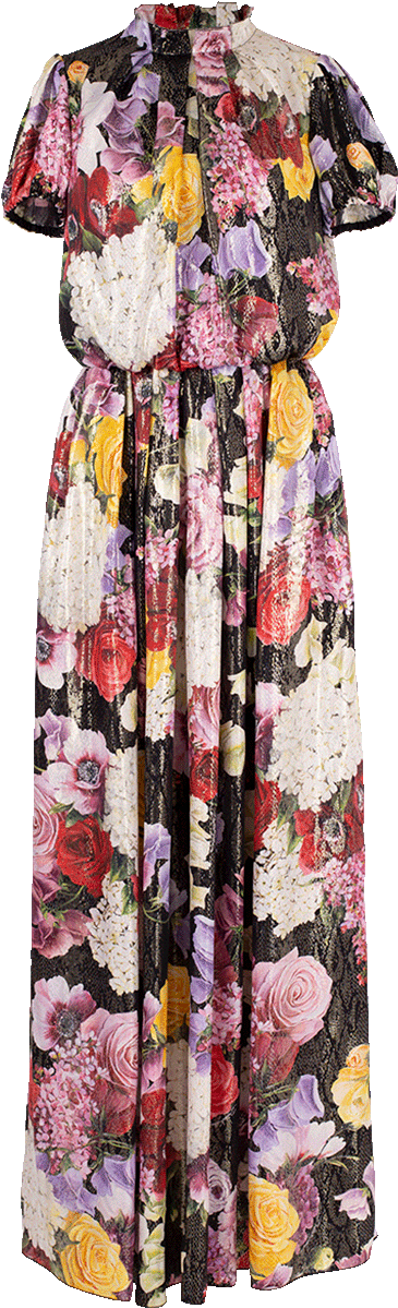 Loading Zoom - Gown (960x1223), Png Download