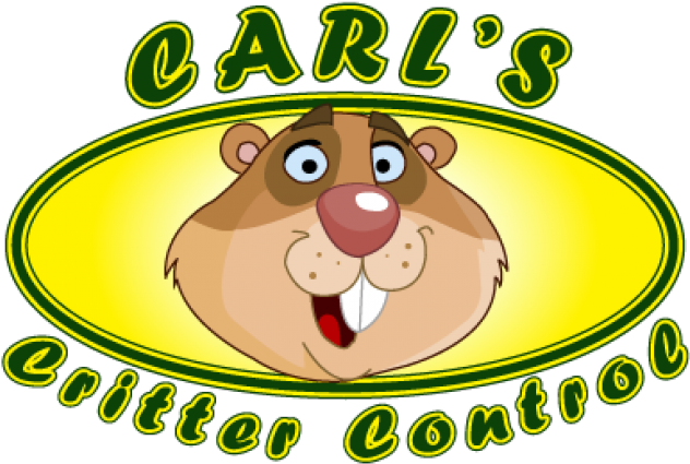 Cartoon (640x480), Png Download