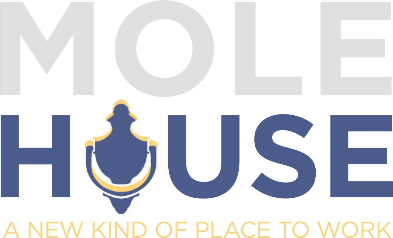 Molehouse Is An Award-winning Media Powerhouse And - Crest (1296x784), Png Download