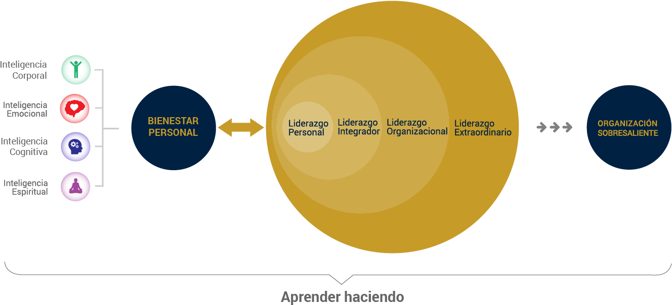Cómo Lo Hacemos - Circle (1392x641), Png Download
