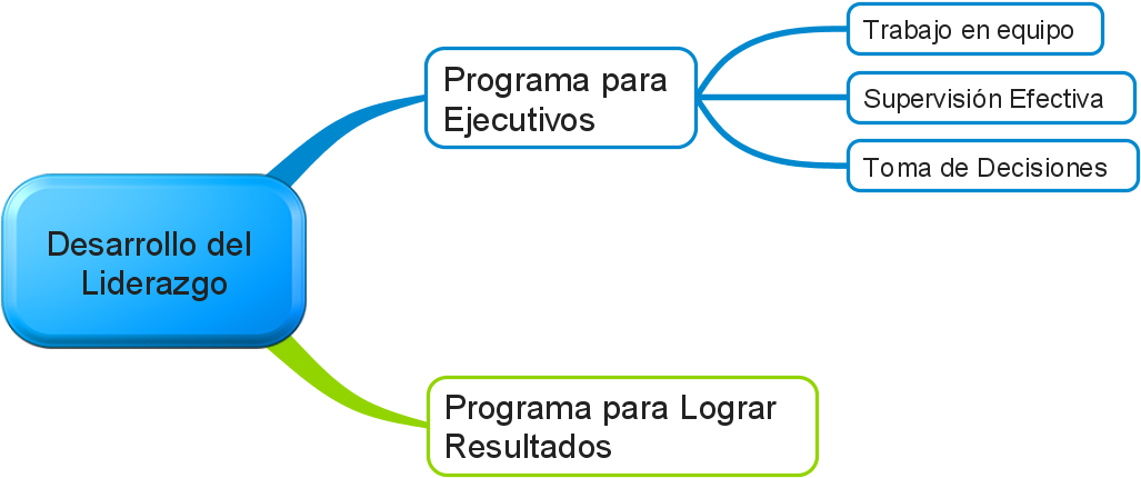 Programa De Desarrollo Del Liderazgo - Programas De Desarrollo De Ejecutivos (1150x482), Png Download