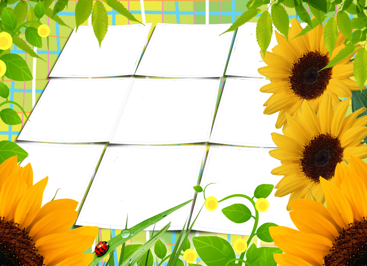 Molduras Para Flores (1201x870), Png Download