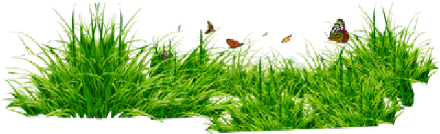 Png Format Grass Png (640x480), Png Download