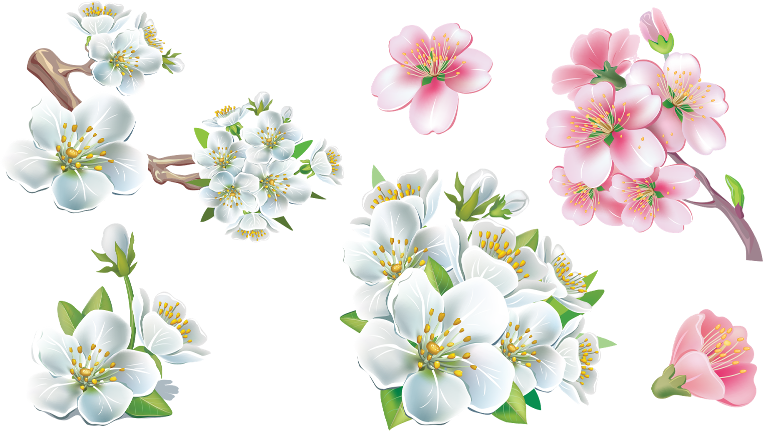 Png Flowers Hd (1600x900), Png Download