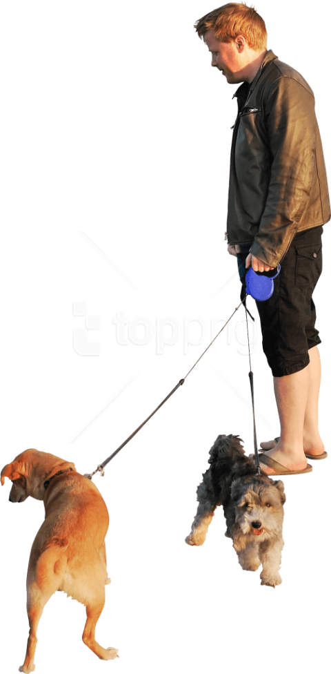 Dogs Beach Sunset Png - People Walking Dog Png (480x976), Png Download