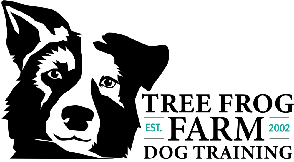 Tfflogoheadhorz - Dog Licks (1000x563), Png Download