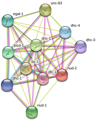 Circle (975x428), Png Download