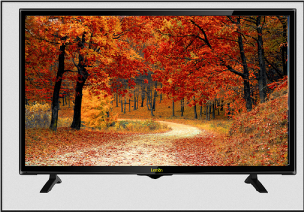 Two Roads In Forest (600x600), Png Download