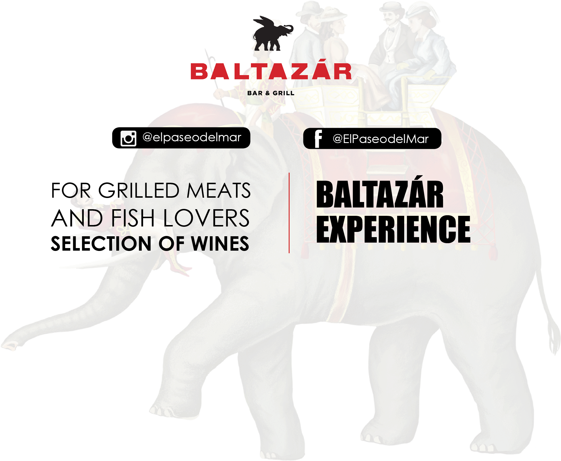 Fondo Elefante En - Funny Warning Signs (2026x1630), Png Download