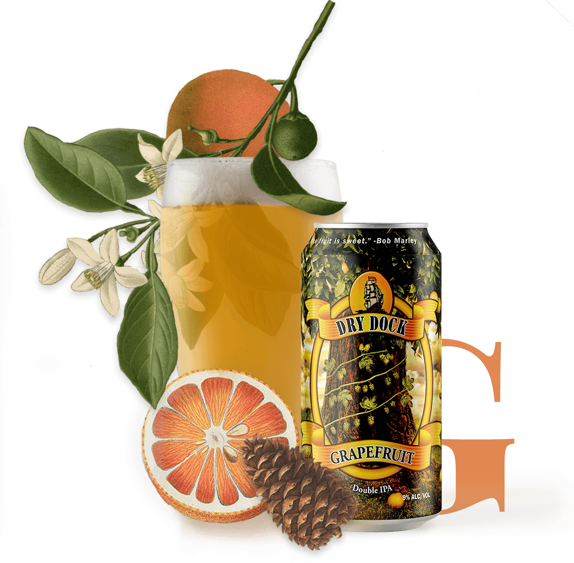 Grapefruit Double Ipa - Domaine De Canton (1116x1095), Png Download