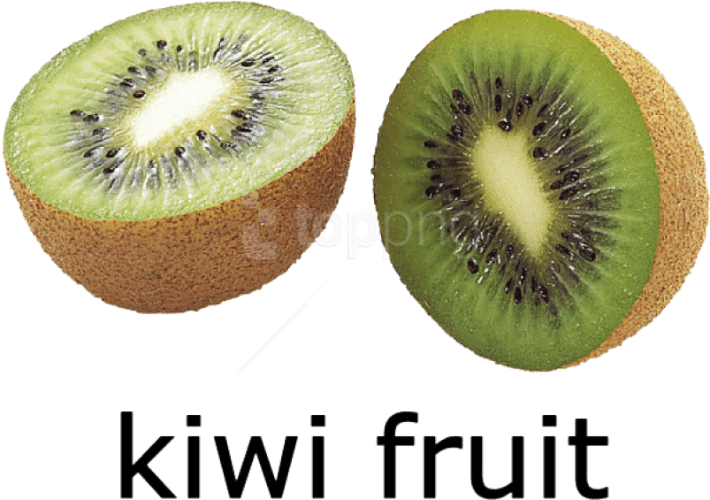 Free Png Kiwi Fruit Png Images Transparent - Kiwi Fruit Picture With Name (850x638), Png Download