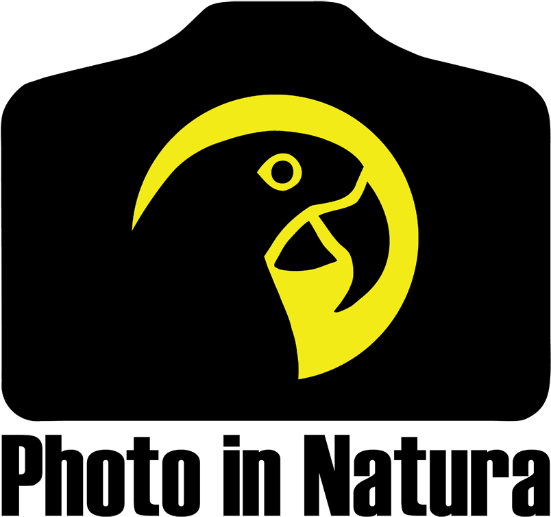 “i Was Particularly Impressed With The Quality And - Emblem (900x784), Png Download