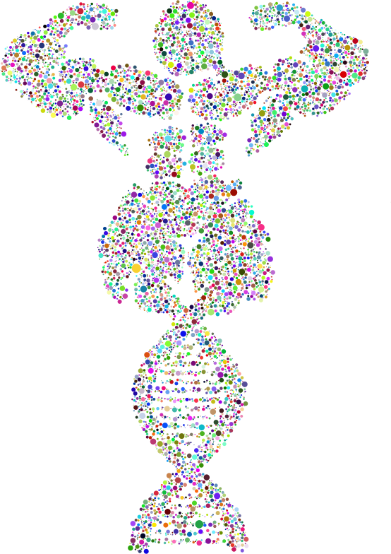 Bodybuilder Dna Circles Prismatic - Art (554x784), Png Download