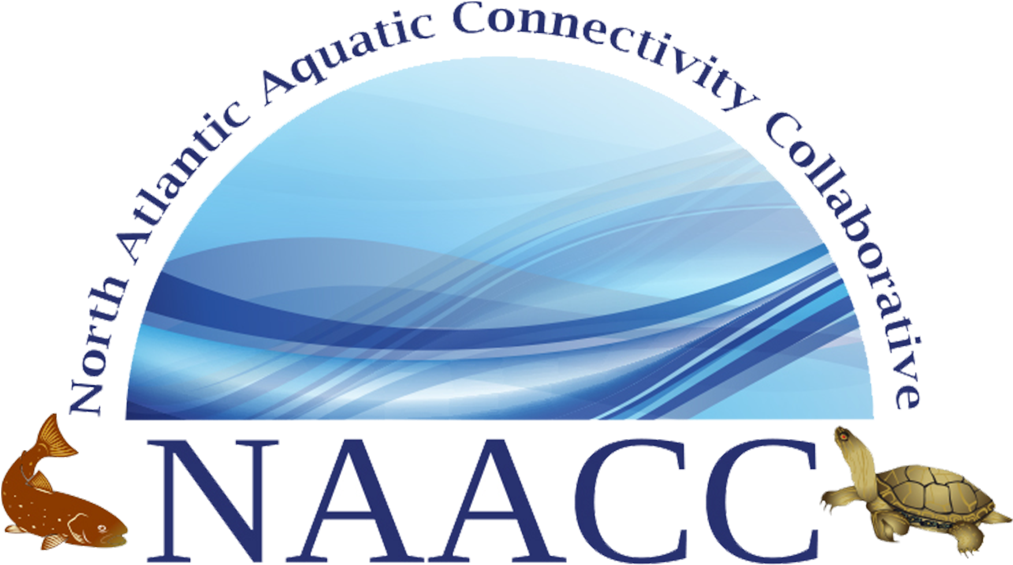 North Atlantic Aquatic Connectivity Collaborative - Hermit Crab (1058x607), Png Download