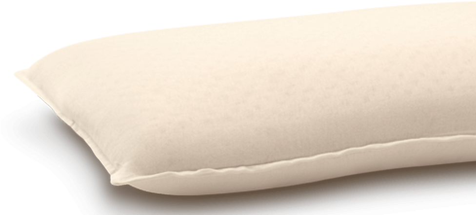 Learn More Life Companion Pillow - Mattress Pad (975x467), Png Download