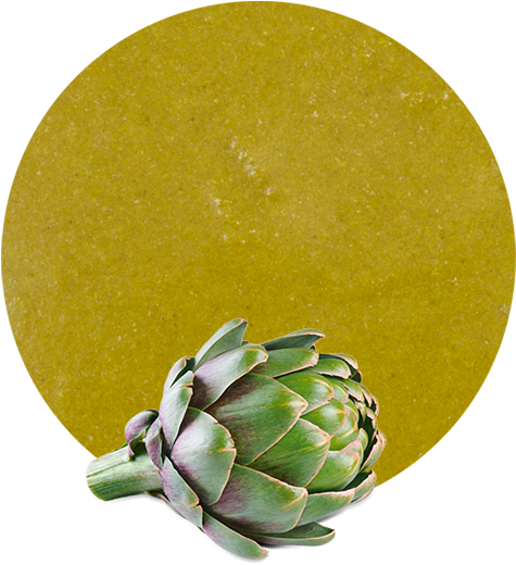Artichoke Puree - Artichoke (536x595), Png Download